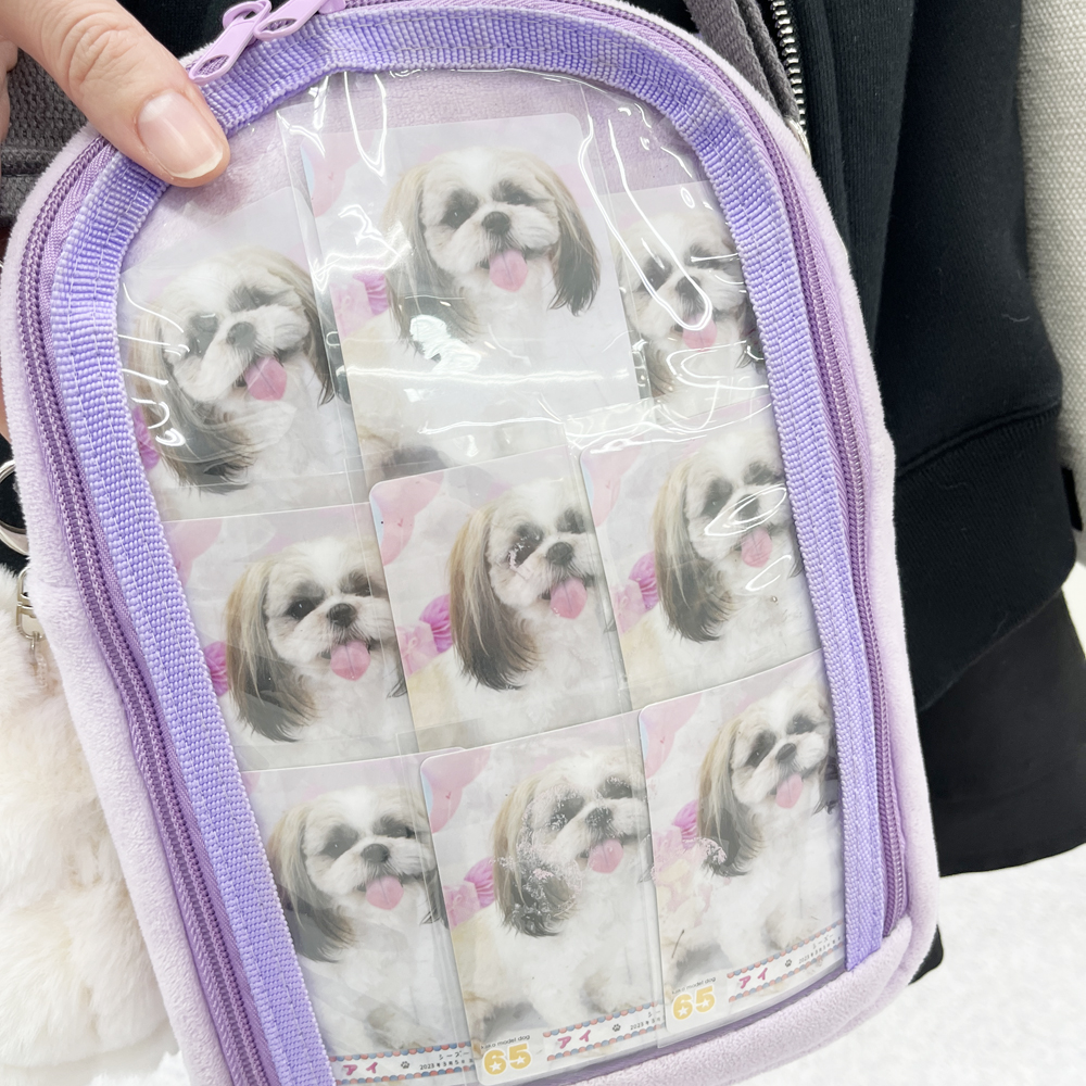 モデル犬のトレーディングカード♪
